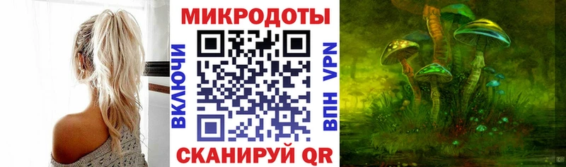 как найти наркотики  Новочеркасск  mega ССЫЛКА  Псилоцибиновые грибы мухоморы 